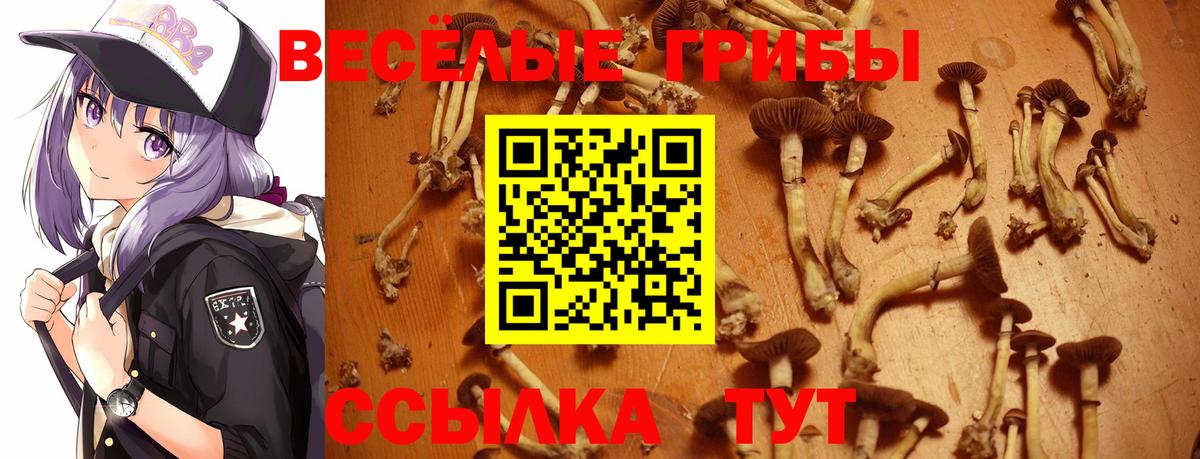 Галлюциногенные грибы мицелий  Галлюциногенные грибы ЛСД  Вход с VPN  Новоалтайск 
